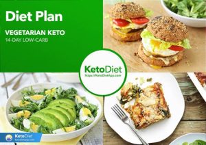 Vegetarian ketogenic diet