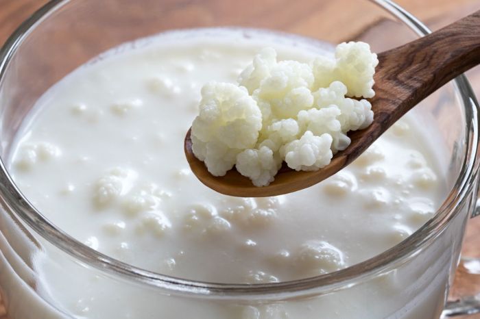 Kefir and gut health benefits