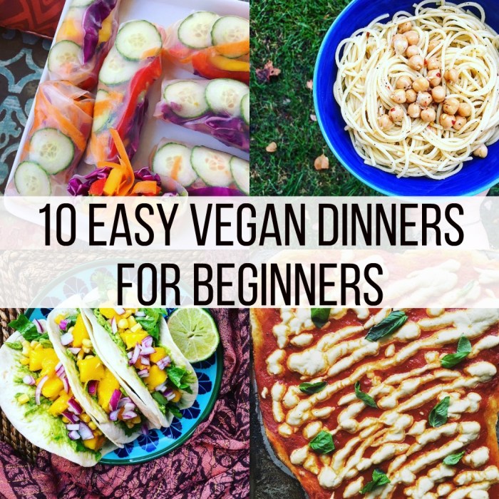 Vegan meal ideas for beginners