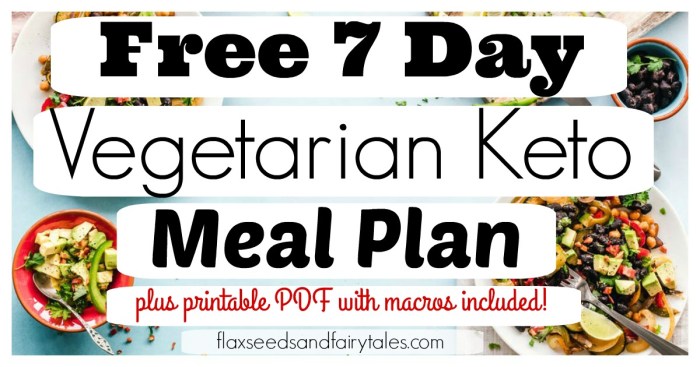 Vegetarian ketogenic diet