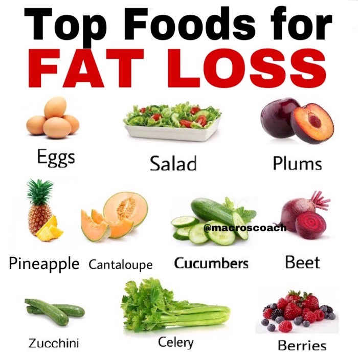 Best weight loss diets